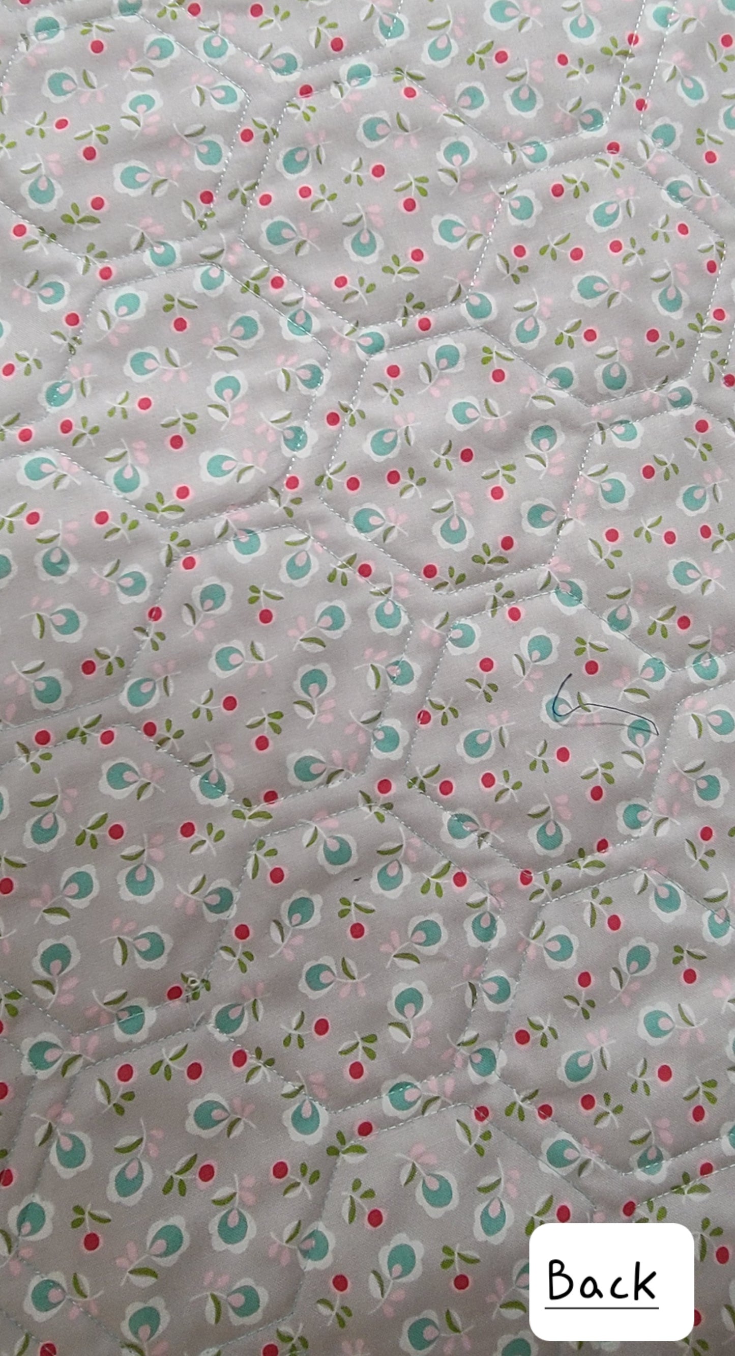 Chicken Salad 64" x 80"